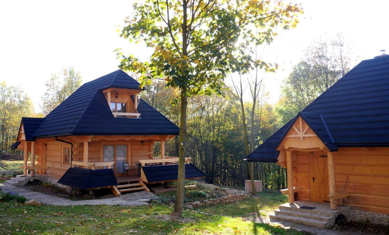 Villa Osada Sudecka Lądek-Zdrój Exterior foto