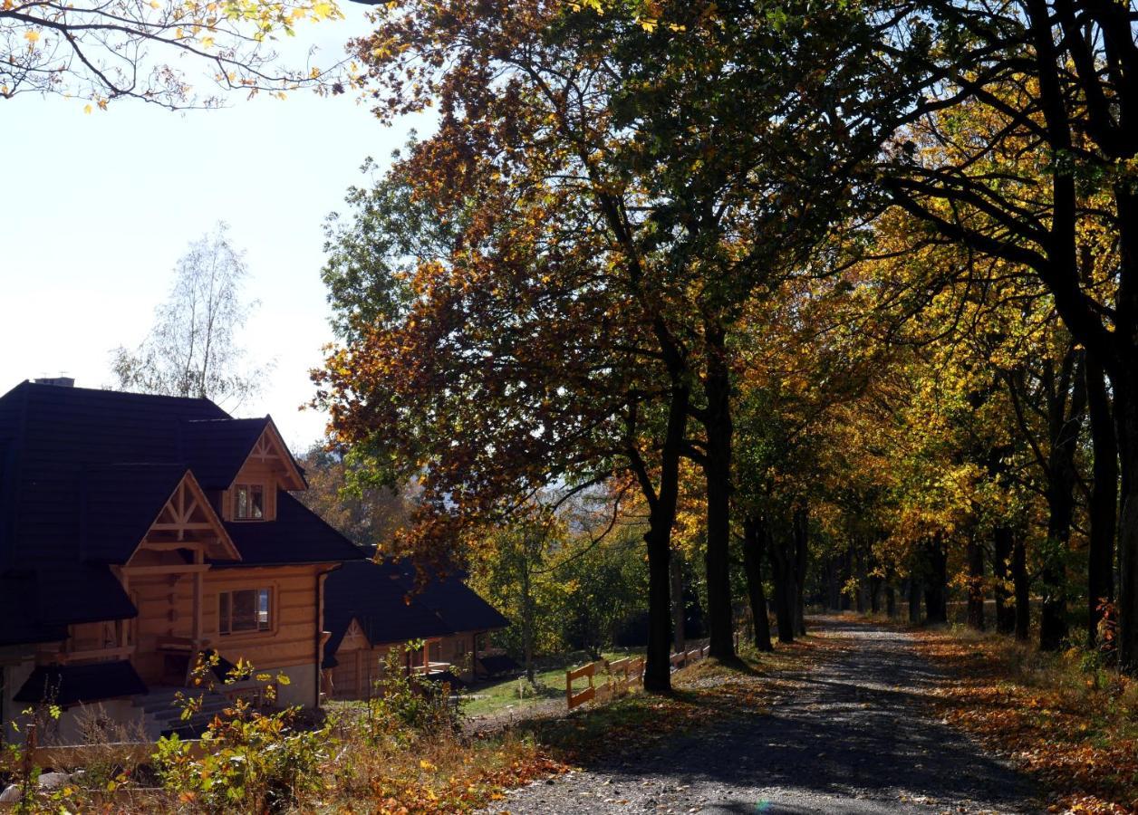 Villa Osada Sudecka Lądek-Zdrój Exterior foto